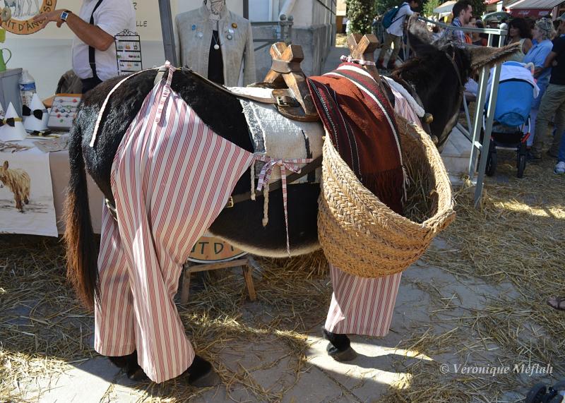 Rambouillet : Fête de la Saint Lubin : Veaux, vaches et ânes !