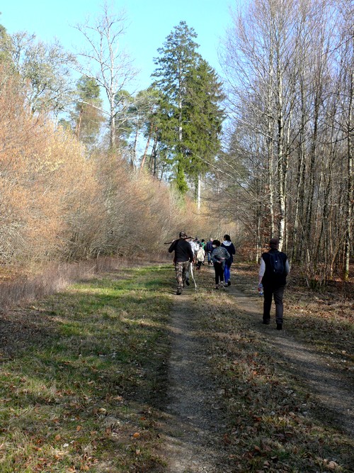 Une "chasse au Trésor enchantée" organisée par le GIP du futur Parc entre Champagne et Bourgogne a eu lieu en forêt châtillonnaise...