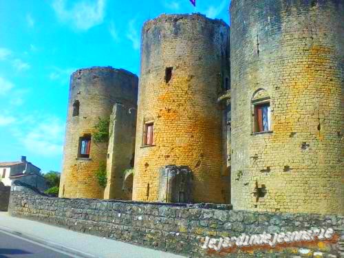 suite du château du pape Clement V a Villandraut (Gironde)
