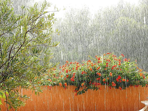 sous la pluie (2)