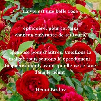RÉFLEXION DE LA SEMAINE:  R D     D    18/06/2018