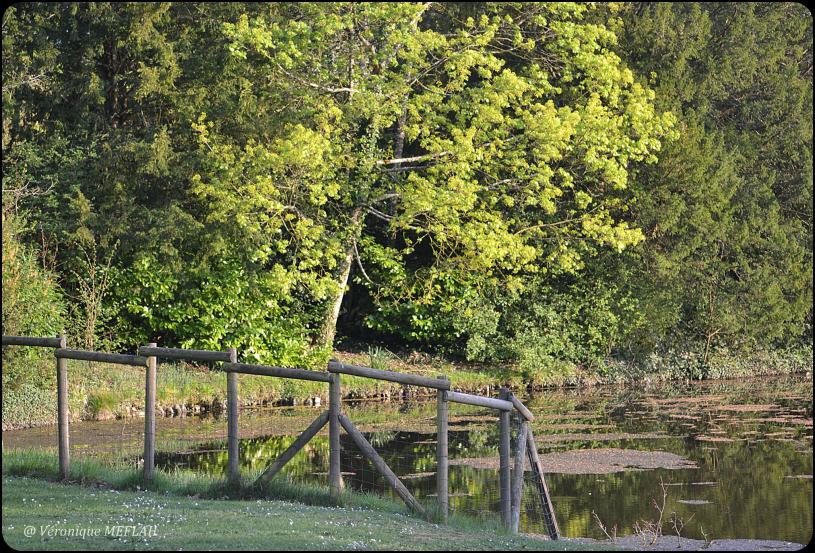 Rambouillet : balade à côté de chez moi