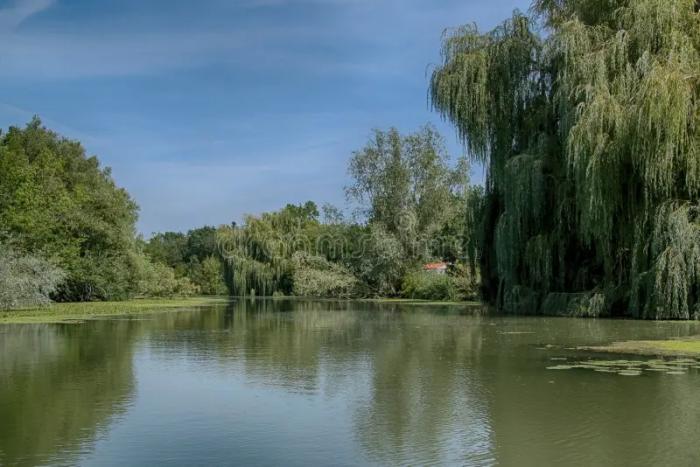 Département des Deux Sèvres