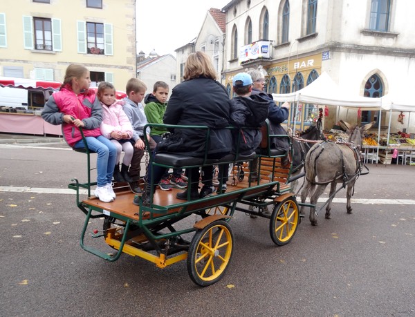 La fête de la pomme à Laignes a eu un très grand succès !