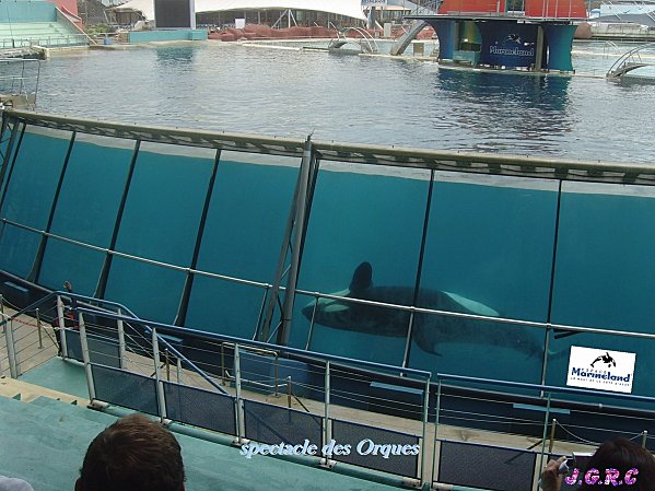 ANTIBES-2010-031.jpg
