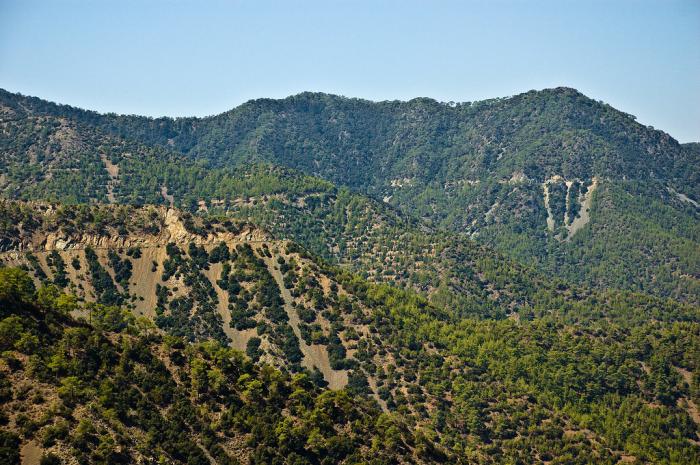 Chypre dans l'Europe