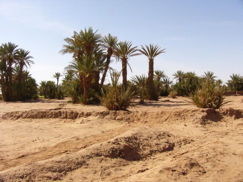 Oued Drâa de Ouarzazate a Mahmid (3)