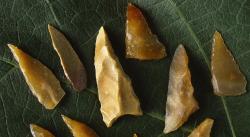 Populations et cultures du Mésolithique