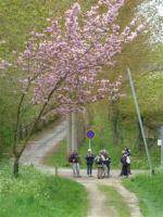 La randonnée du 5 mai à Argences