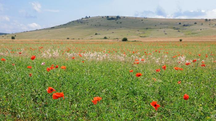 Département de la Lozère