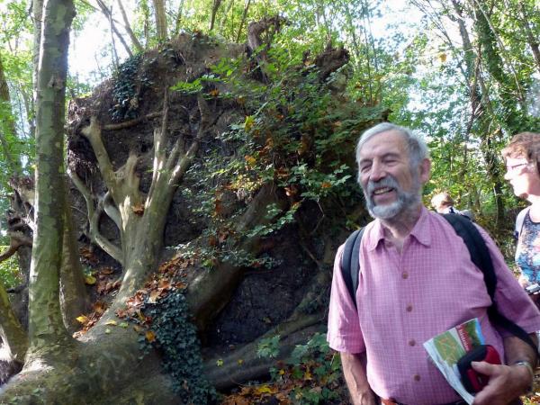 Les bords de l'Yerres et le Parc Caillebotte