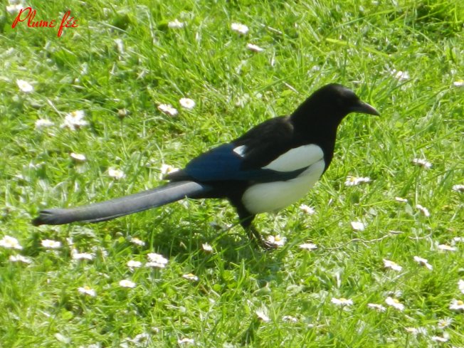 Image08.jpg