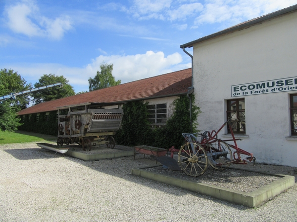 Les adhérents de la Société Mycologique du Châtillonnais ont visité l'Eco-Musée de la Forêt d'Orient dans l'Aube.