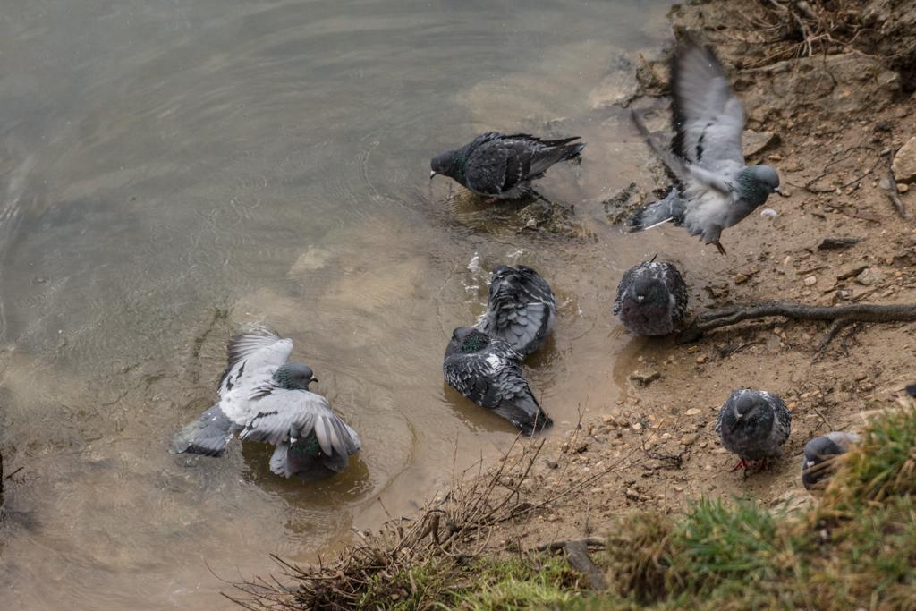 Besançon, au fil de  l'eau