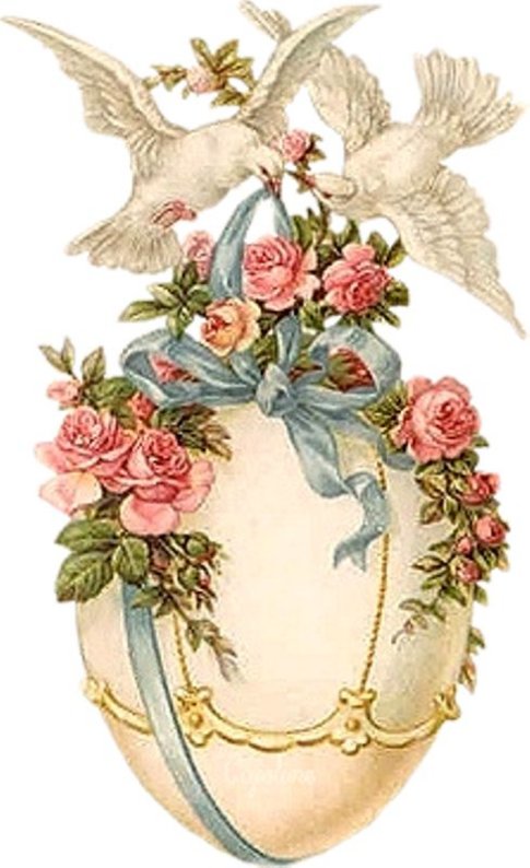 Image020.jpg