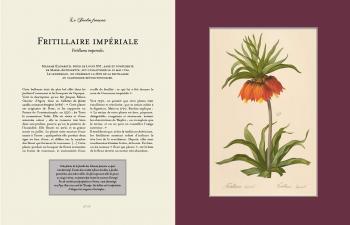 L'herbier de Marie Antoinette