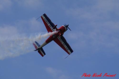 Le meeting aérien de la Ferté Alais  vu par Nicole Prévost, passionnée d'aviation...