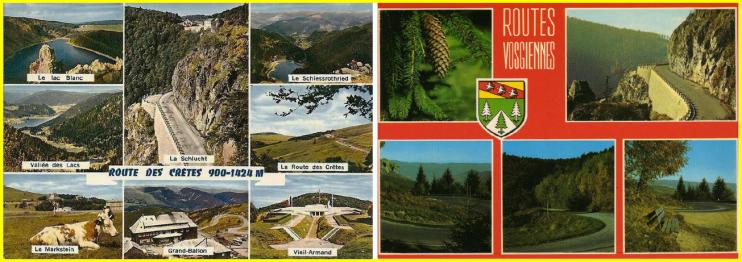 ╰⊱♥⊱╮ღ꧁ Département 88  ꧂ღ╭⊱♥≺