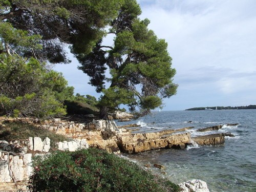 Ste Marguerite