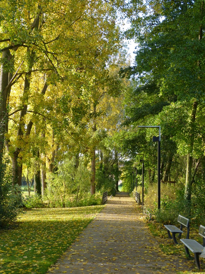 Trésors d'automne chez Anniclick