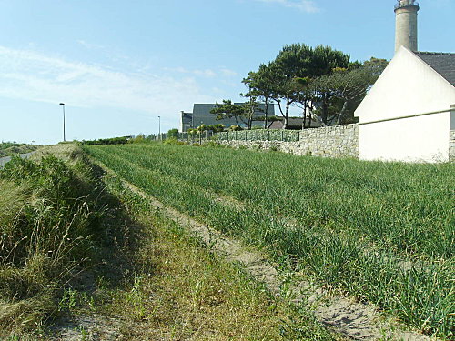 IMGP0091-copie-1.JPG