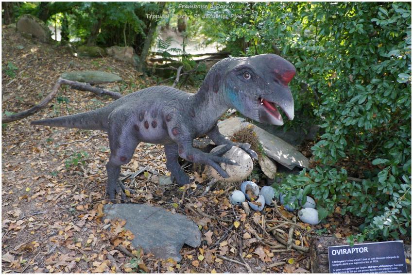 Tropical Parc St Jacut les Pins - 56 -