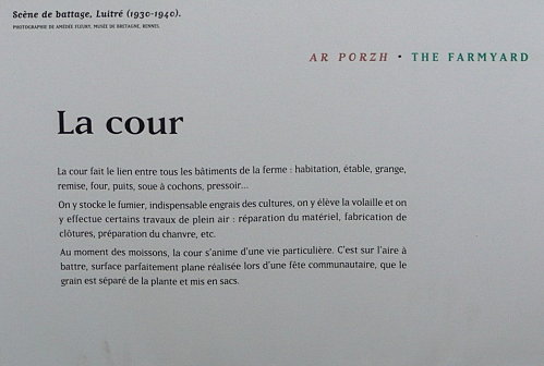 la-cour.jpg