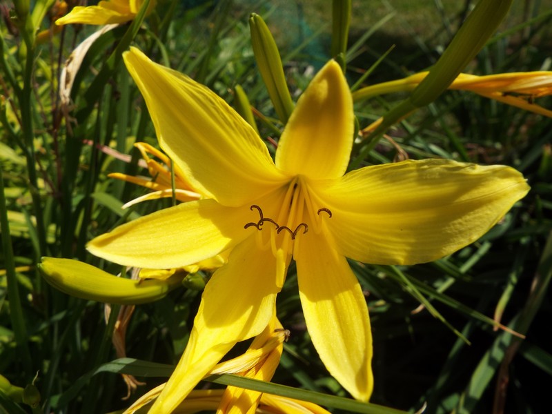"Du côté jardin" pour ... une pause .