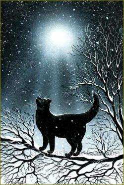 La Lune et son mystère