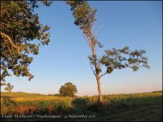 (J4) Monlezun / Maubourguet _ 4 septembre 2013 _ 24km