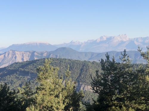 Tête de charbonnier (Saint Martin les Seyne)