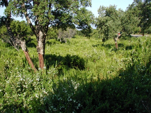 Blagounettes du jeudi ... !!!