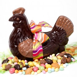 la petite poule