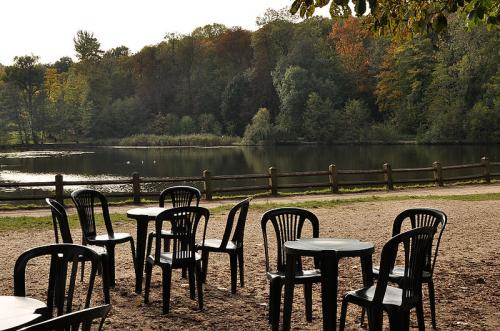 Bois de Saint Cucufa  (Hauts de Seine)
