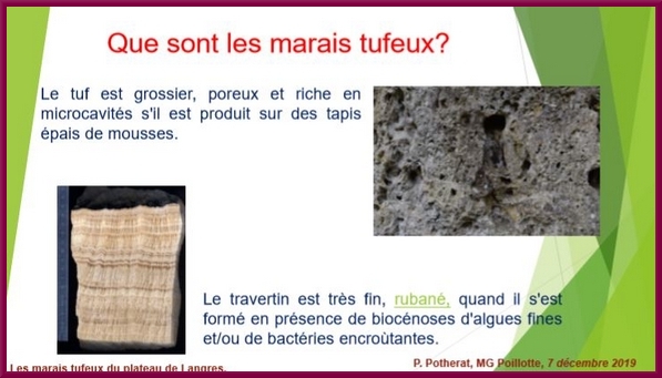 "Les marais tufeux du Plateau de Langres", une conférence proposée par la Société Mycologique du Châtillonnais