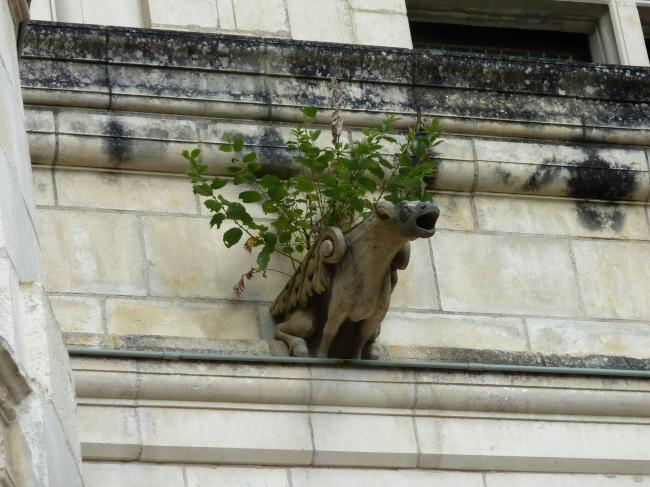☻ Un week-end à Orléans