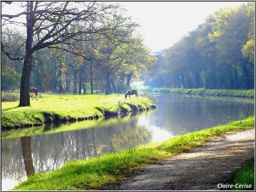 902 - Suite5 : -Notre Chemin vers St Jacques de Compostelle à travers ses anecdotes- !