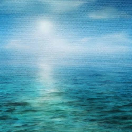 page 7  fonds de mer