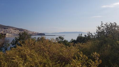 L'épine et la rose !