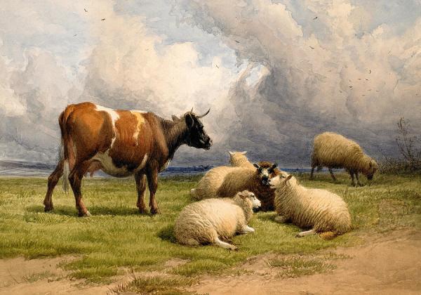 Peinture de :Thomas Sidney Cooper 