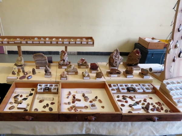 La 22ème foire aux graines, jardin et nature de Recey sur Ource, a attiré un nombreux public...