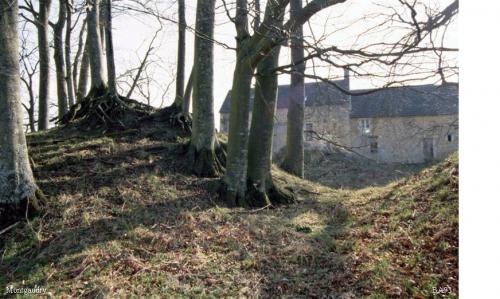 LES REMPARTS DE MONTGAUDRY (Orne)