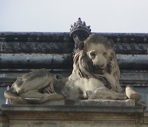 Image59