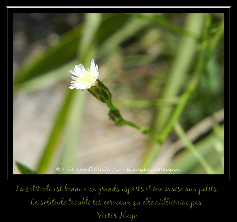 Toute seule...