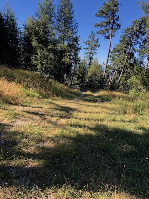 La Chau (Seyne - Montclar)