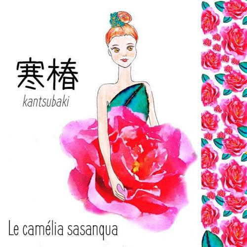 Fleurs cultivées : Camélia