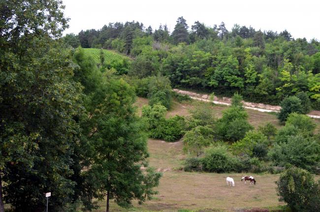 ☻ Un jour, une église : Noiron-sur-Seine