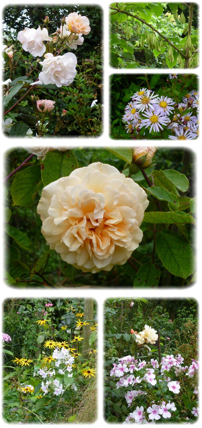 Famiflora