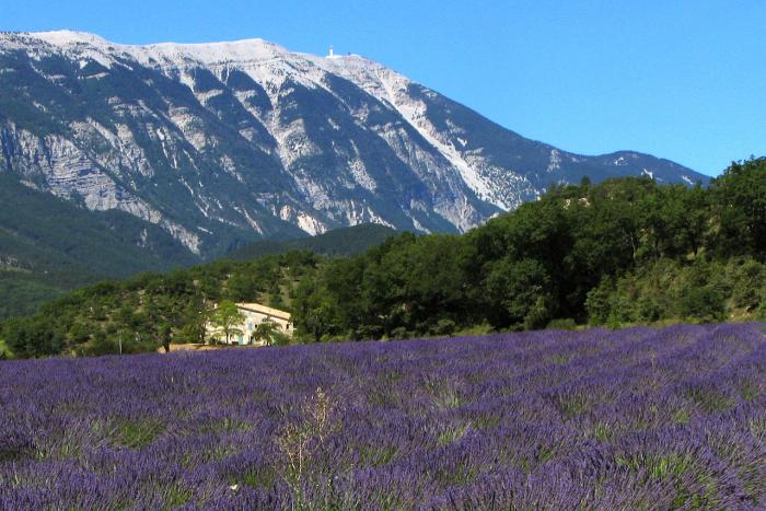 Département du Vaucluse