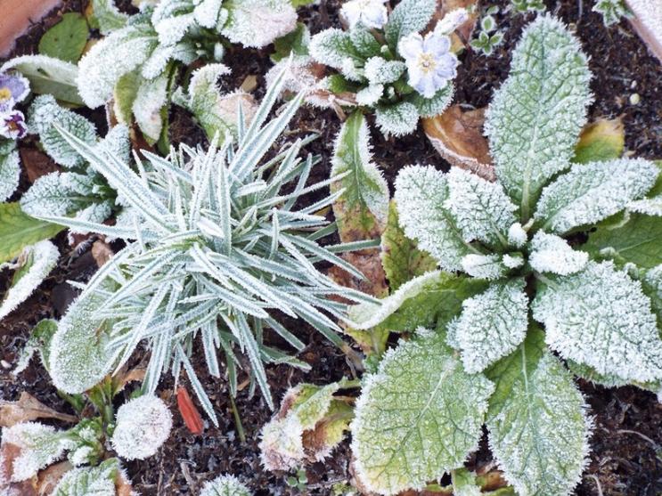 Ah ! ces hivers ! ...